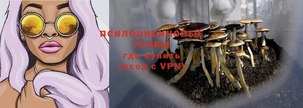 кокс Аркадак