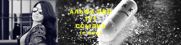 PSILOCYBIN Армянск