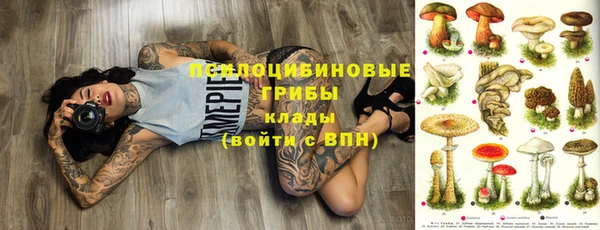 кокс Аркадак