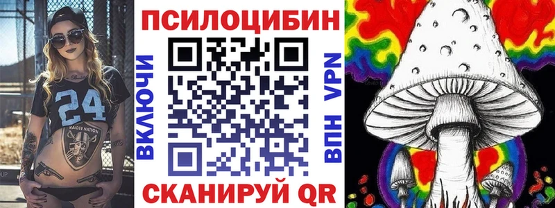Галлюциногенные грибы Psilocybine cubensis  Краснознаменск 