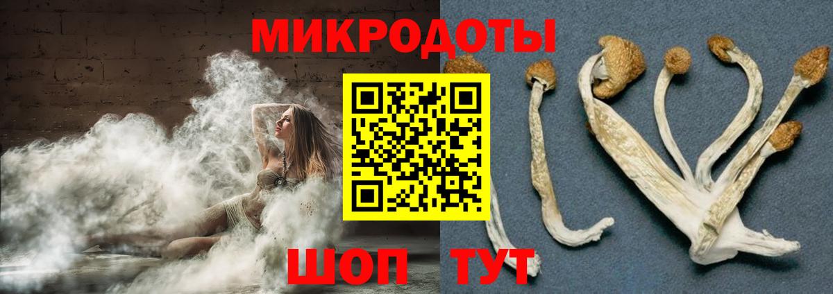 Псилоцибиновые грибы мухоморы  Псилоцибиновые грибы Magic Shrooms  Краснознаменск  Вход с VPN 